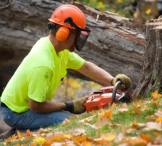 tree services Rosedale